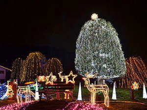 P15060B[1]