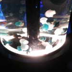 20160415_014132